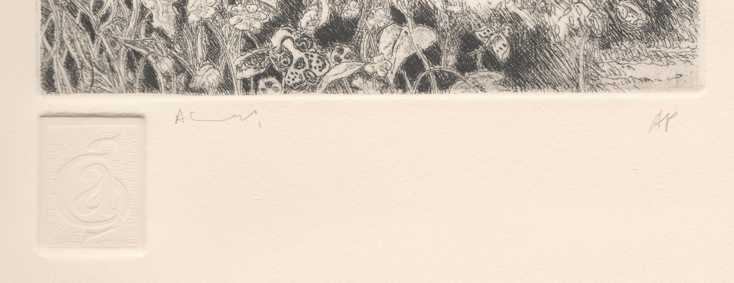 Busy Cricket Scene 2