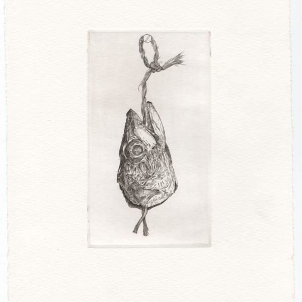 Dried Fish Head