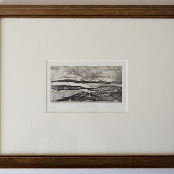 Stormy Landscape
