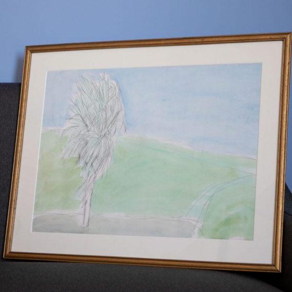 Young Palm Tree in the Wind study