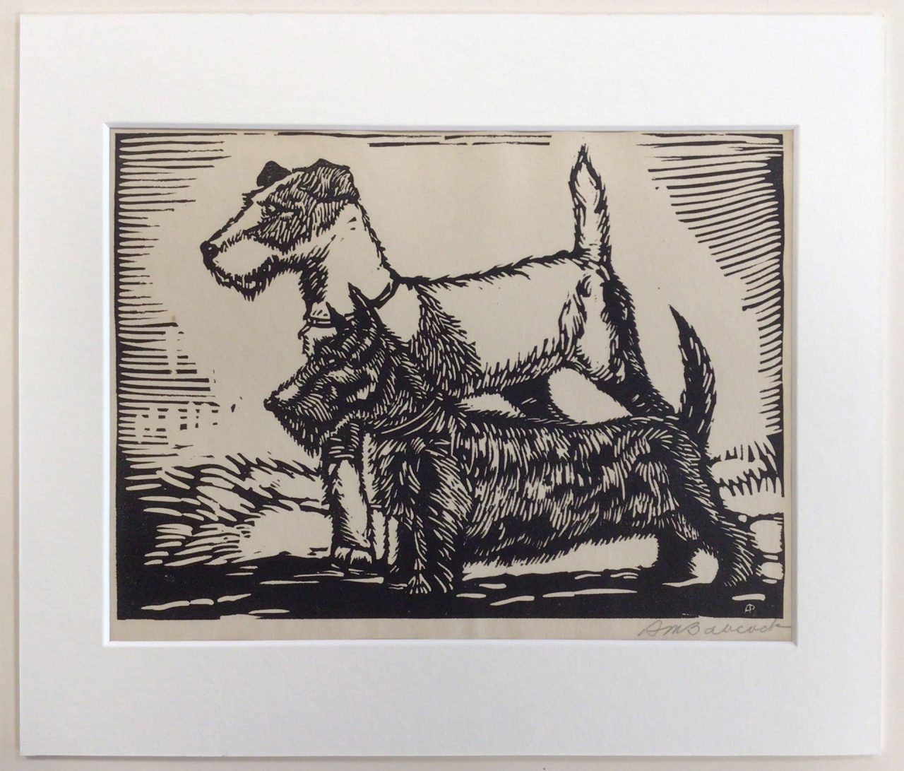 Two Terriers