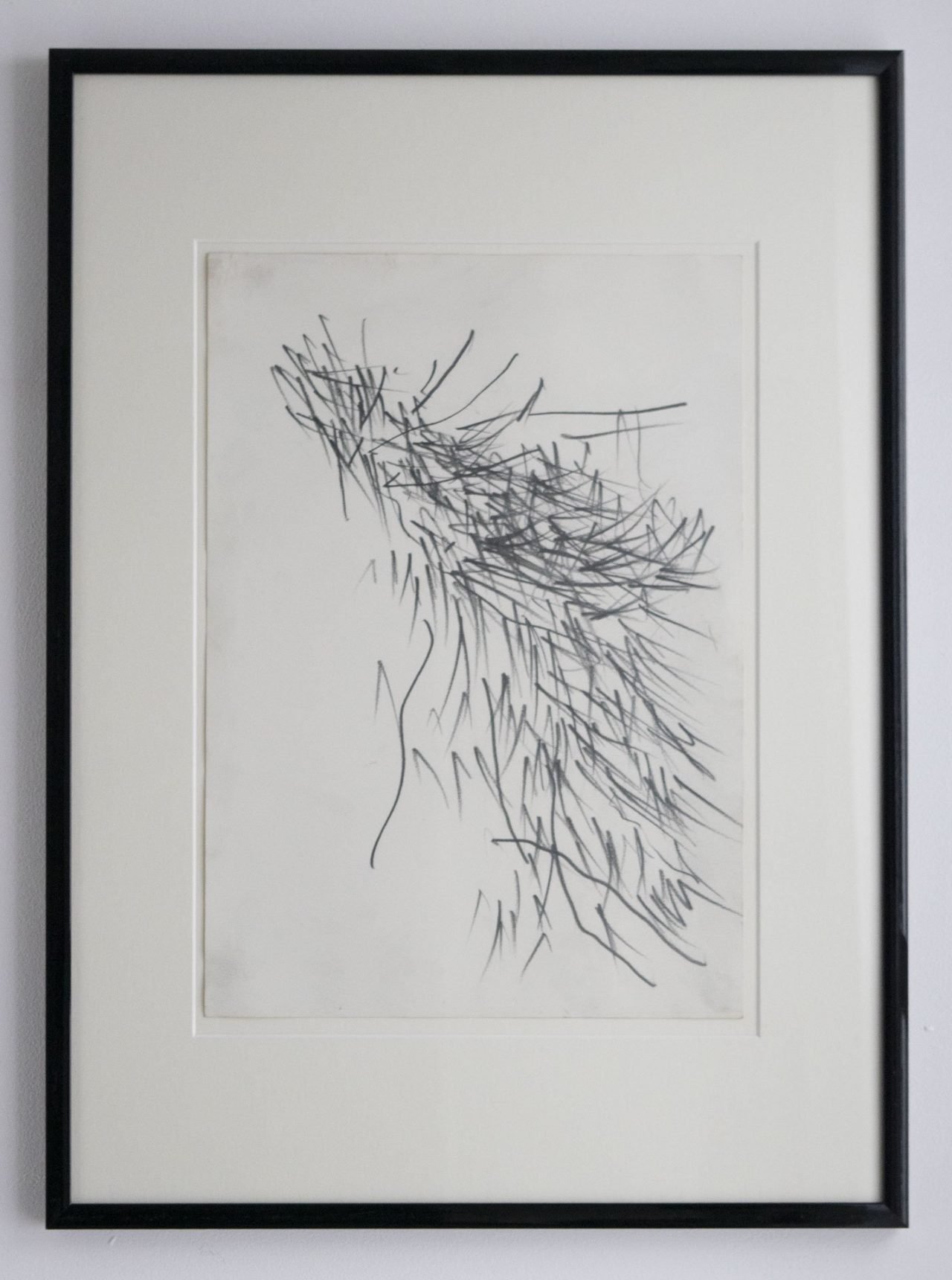 Pine Tree Study 4