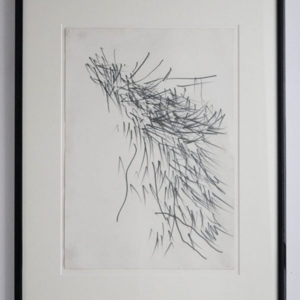 Pine Tree Study 4
