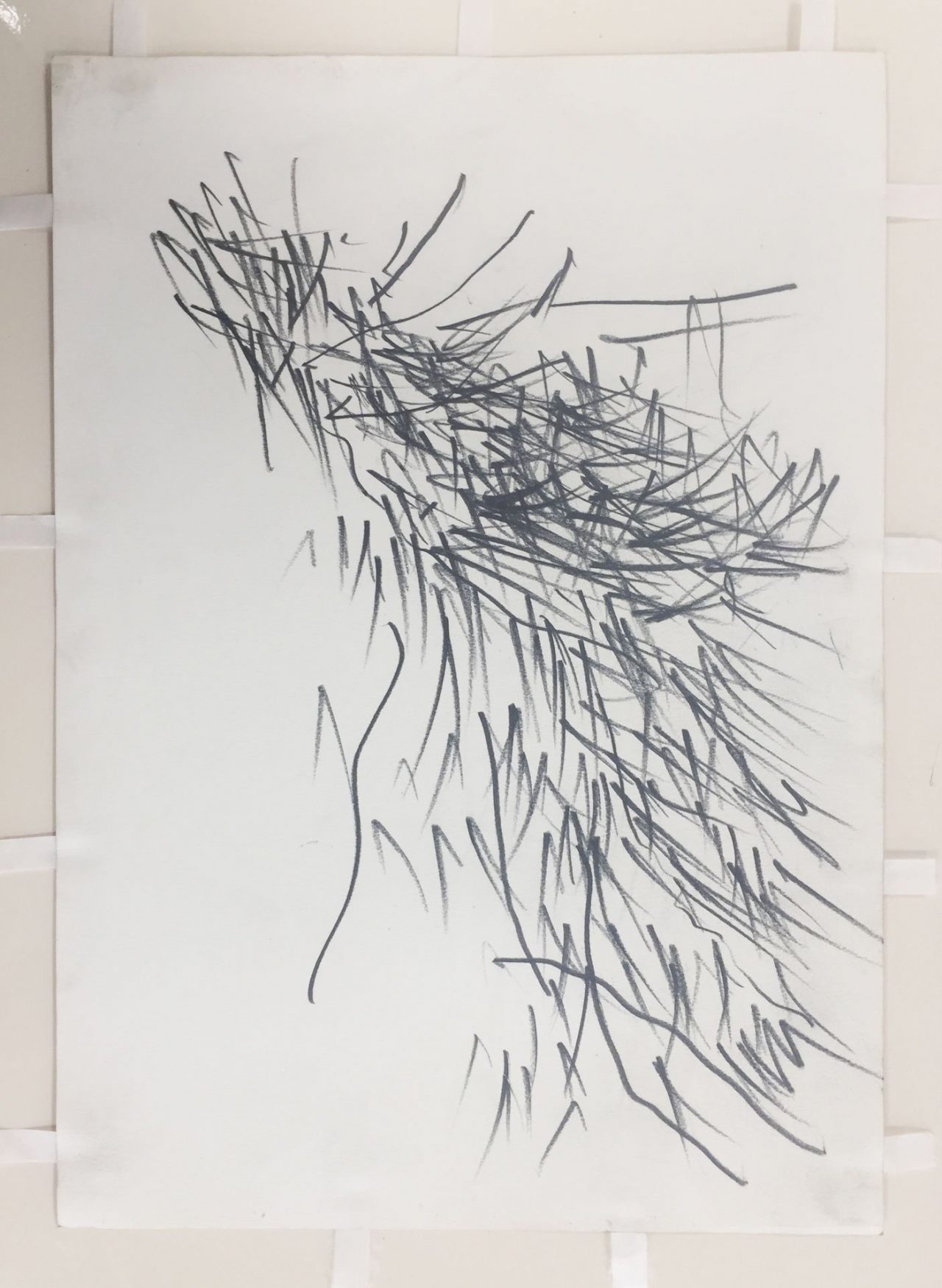 Pine Tree Study 4
