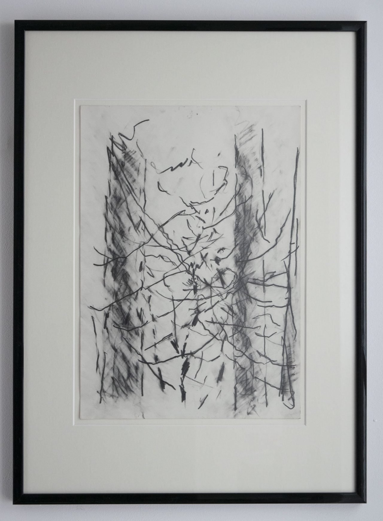 Pine Tree Study 2