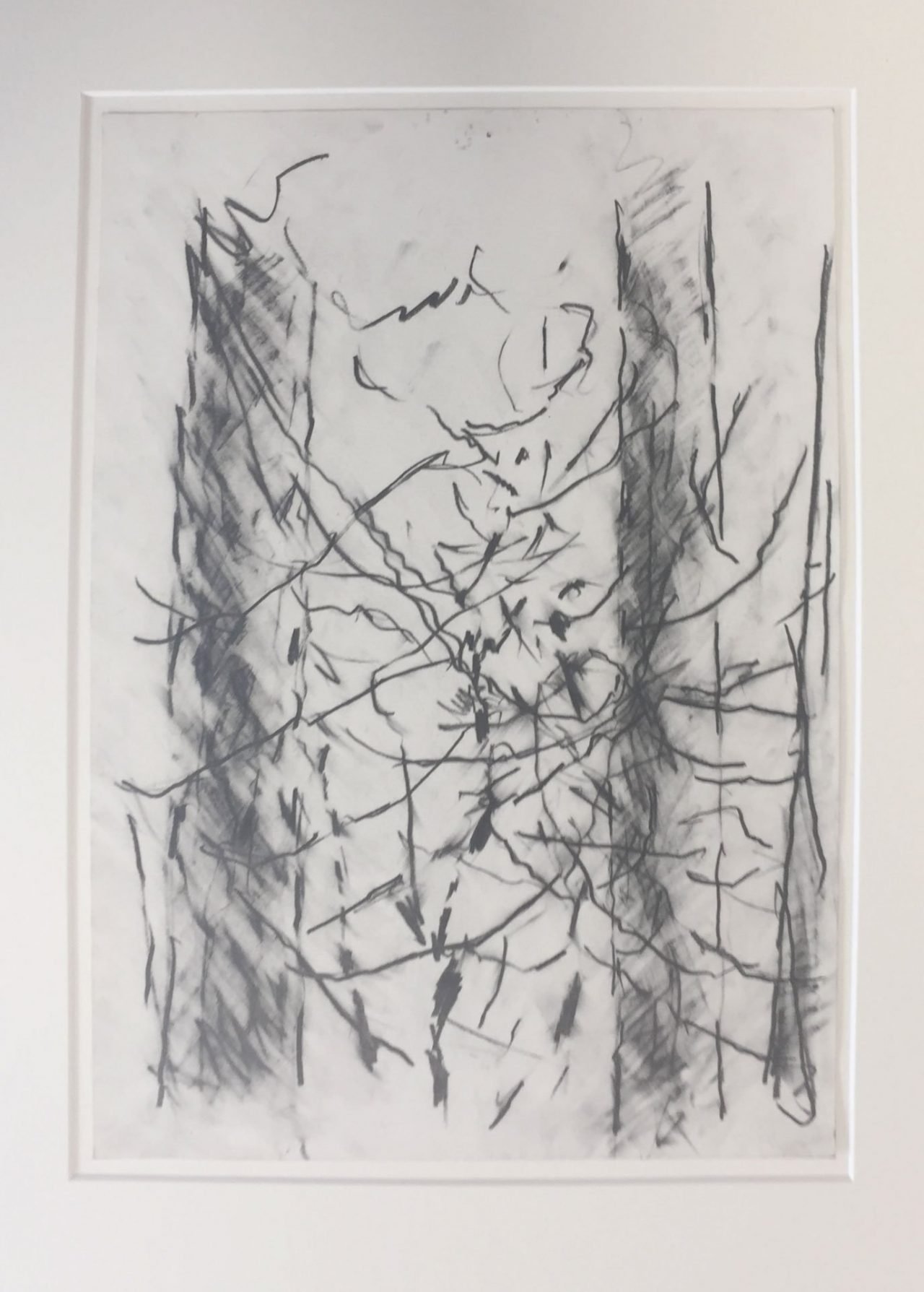 Pine Tree Study 2