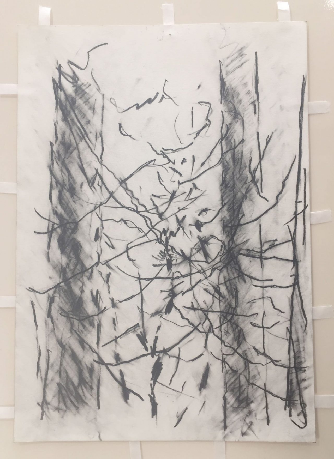 Pine Tree Study 2