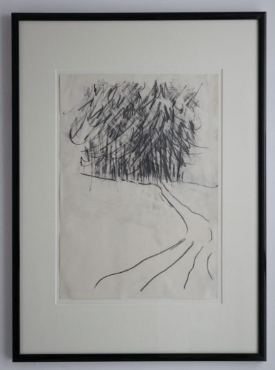 Pine Tree Study 3