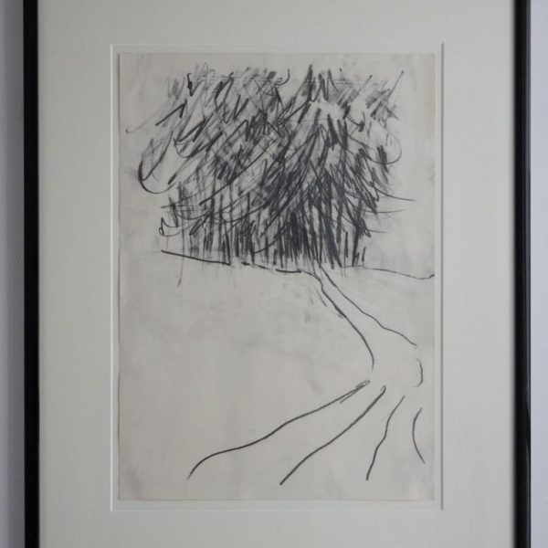 Pine Tree Study 3