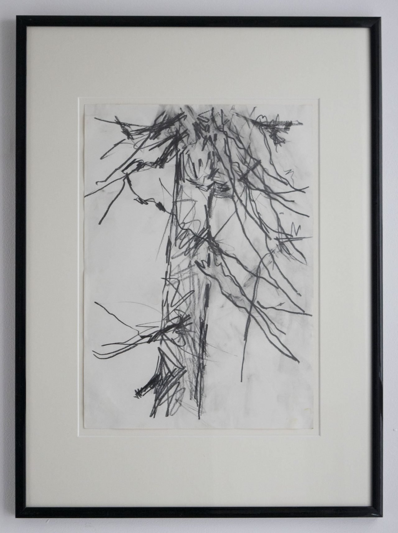 Pine Tree Study 1
