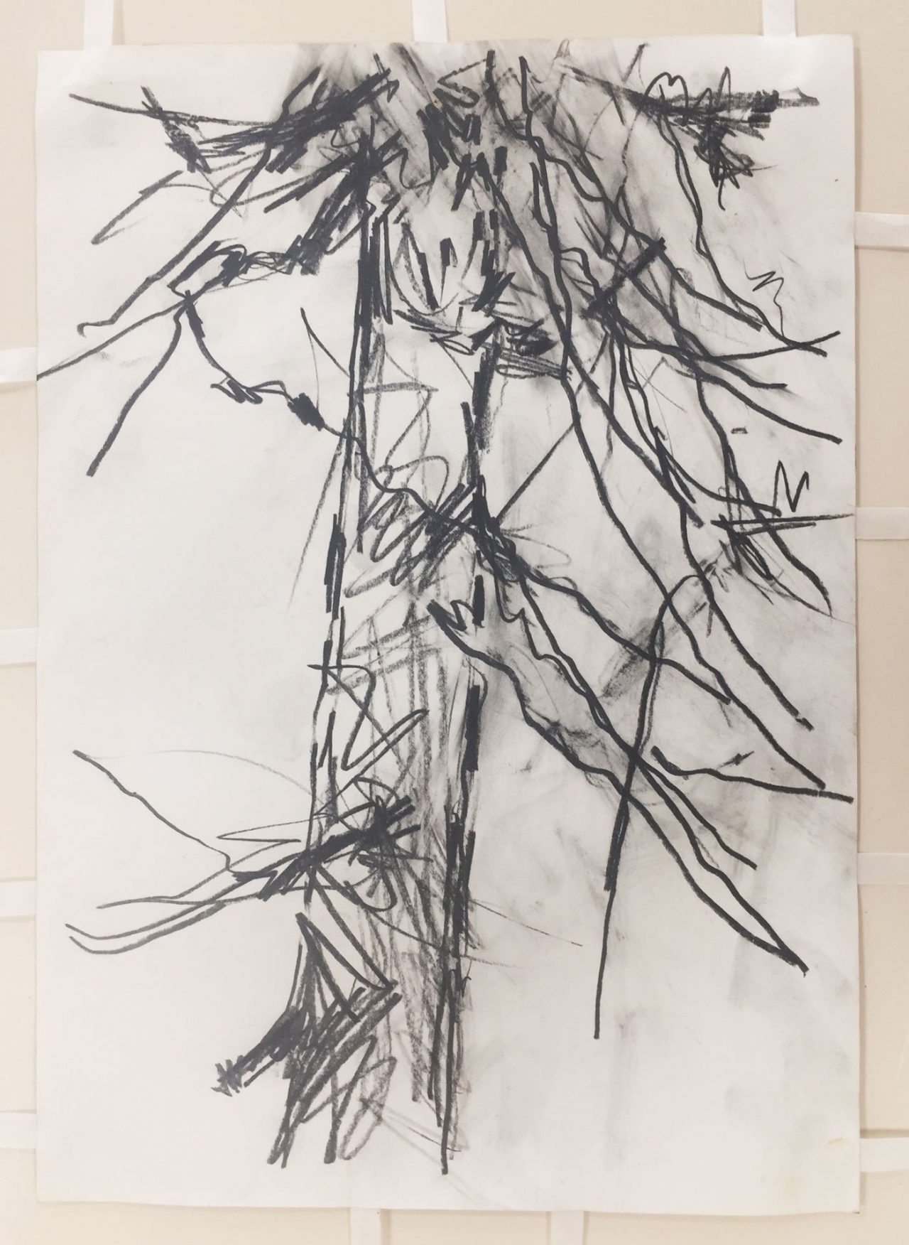 Pine Tree Study 1