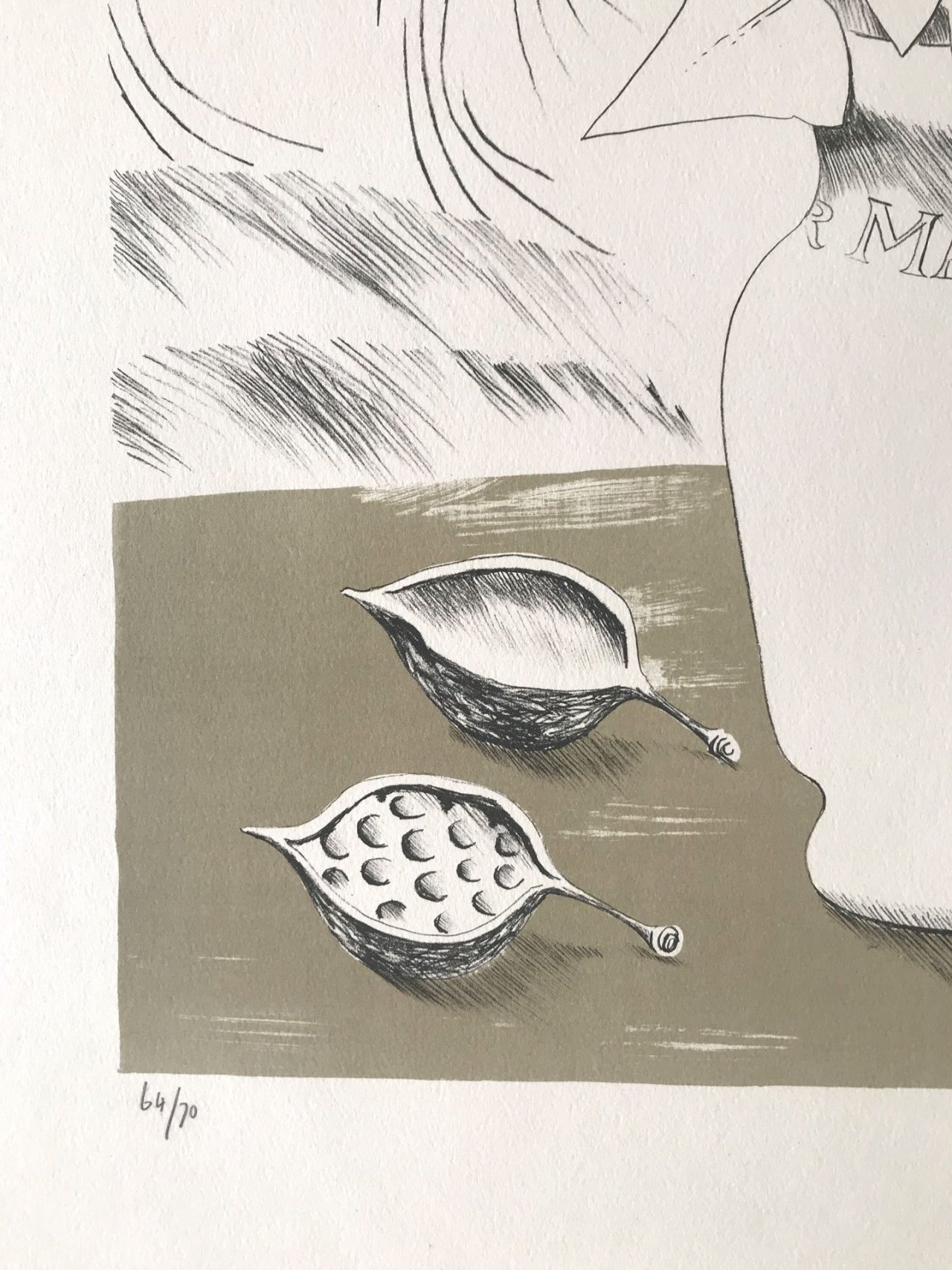 Ivy - Mary Fedden - Image 5