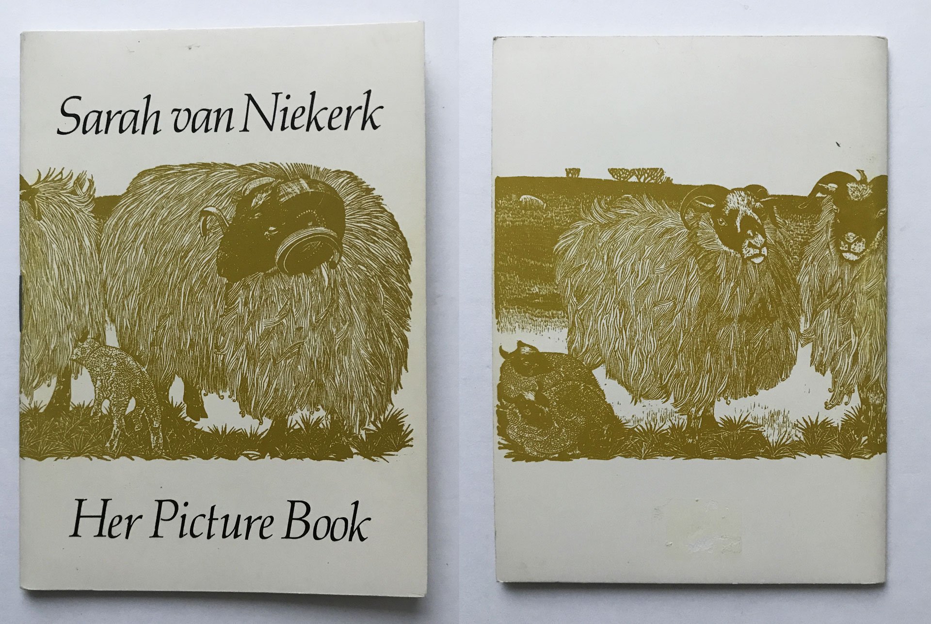Sarah van Niekerk Her Picture Book