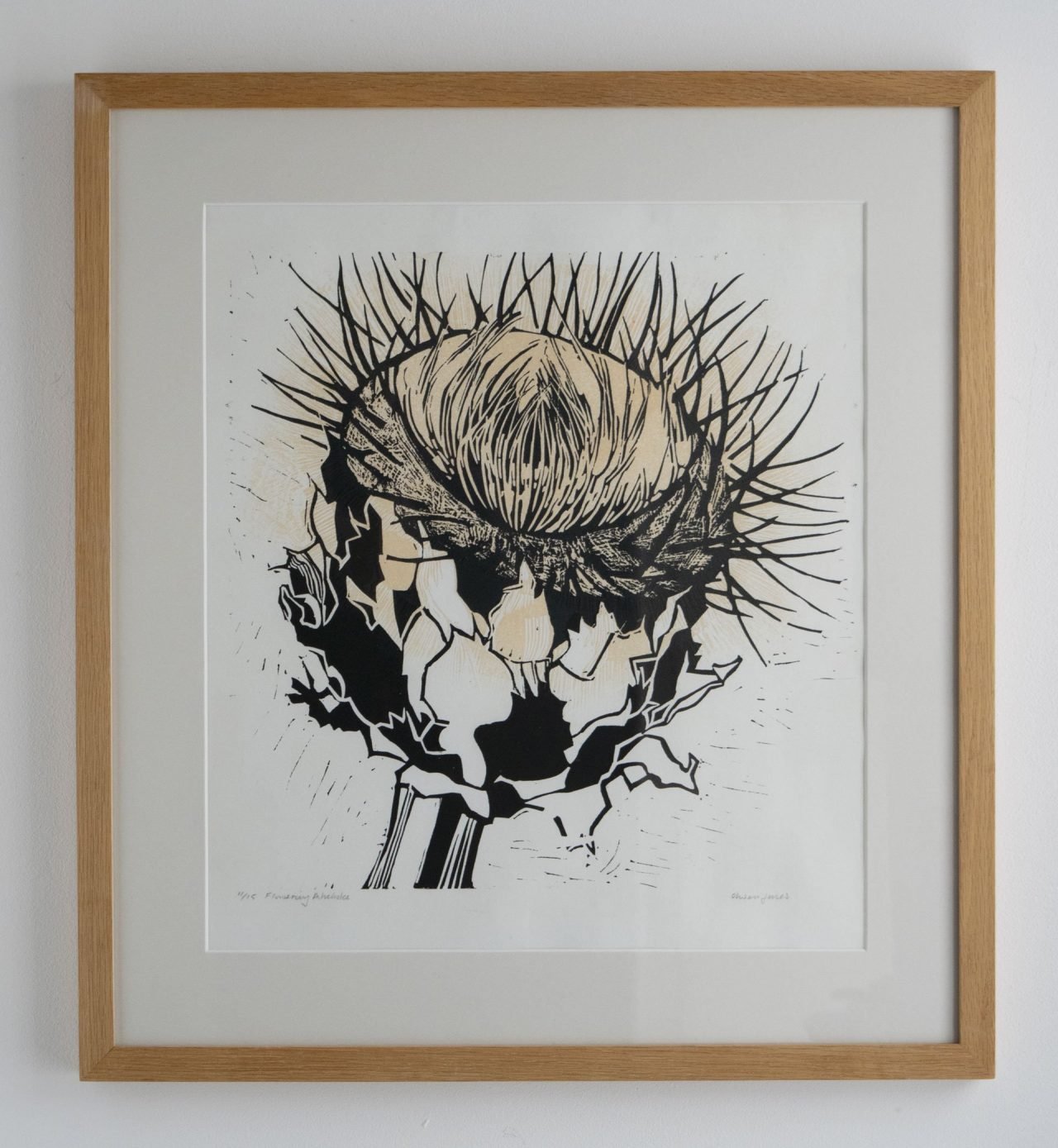 Flowering Artichoke by Olwen Jones