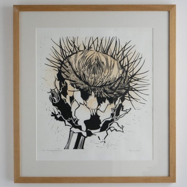 Flowering Artichoke by Olwen Jones
