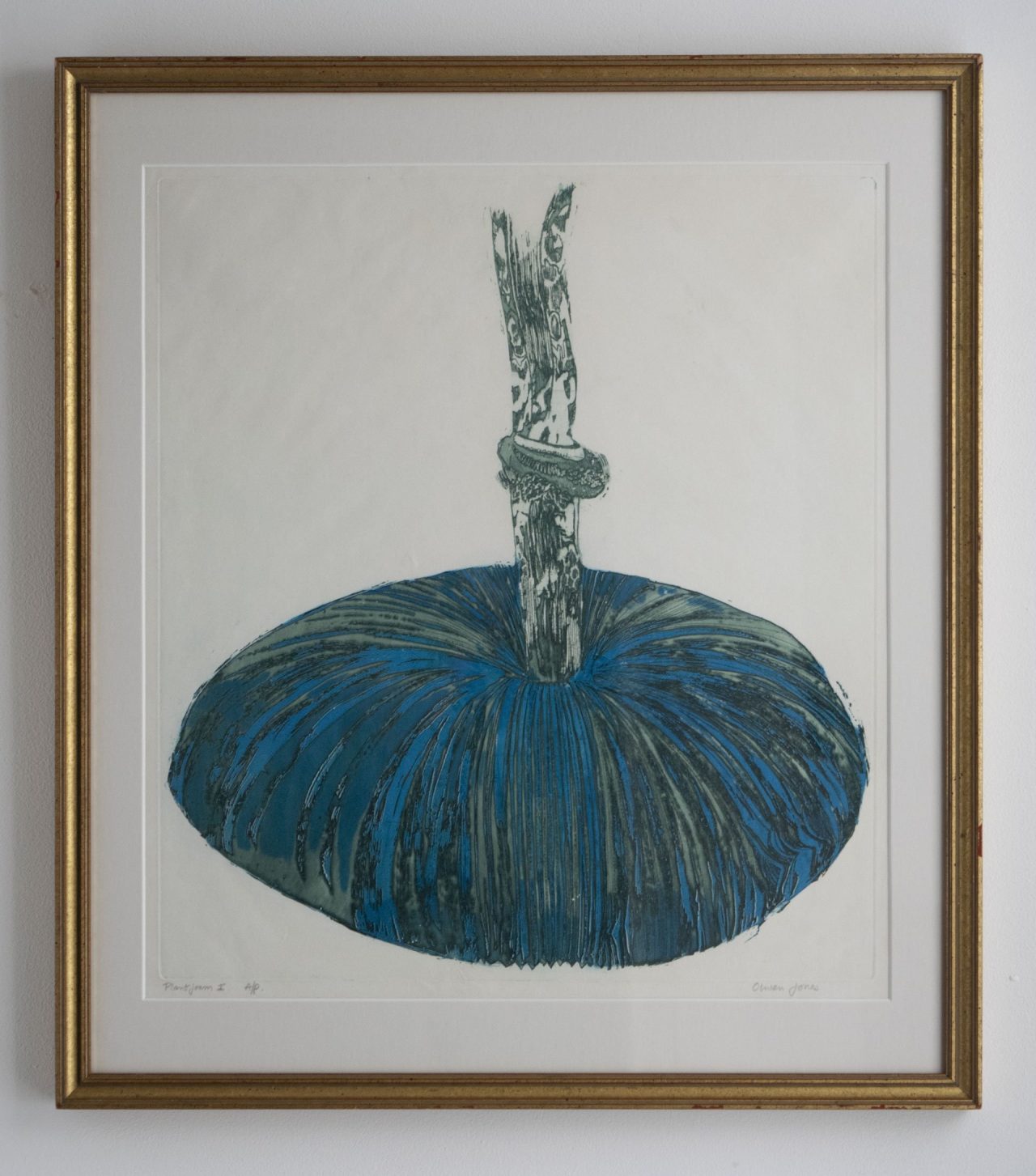 Plant Form 1 by Olwen Jonesdd