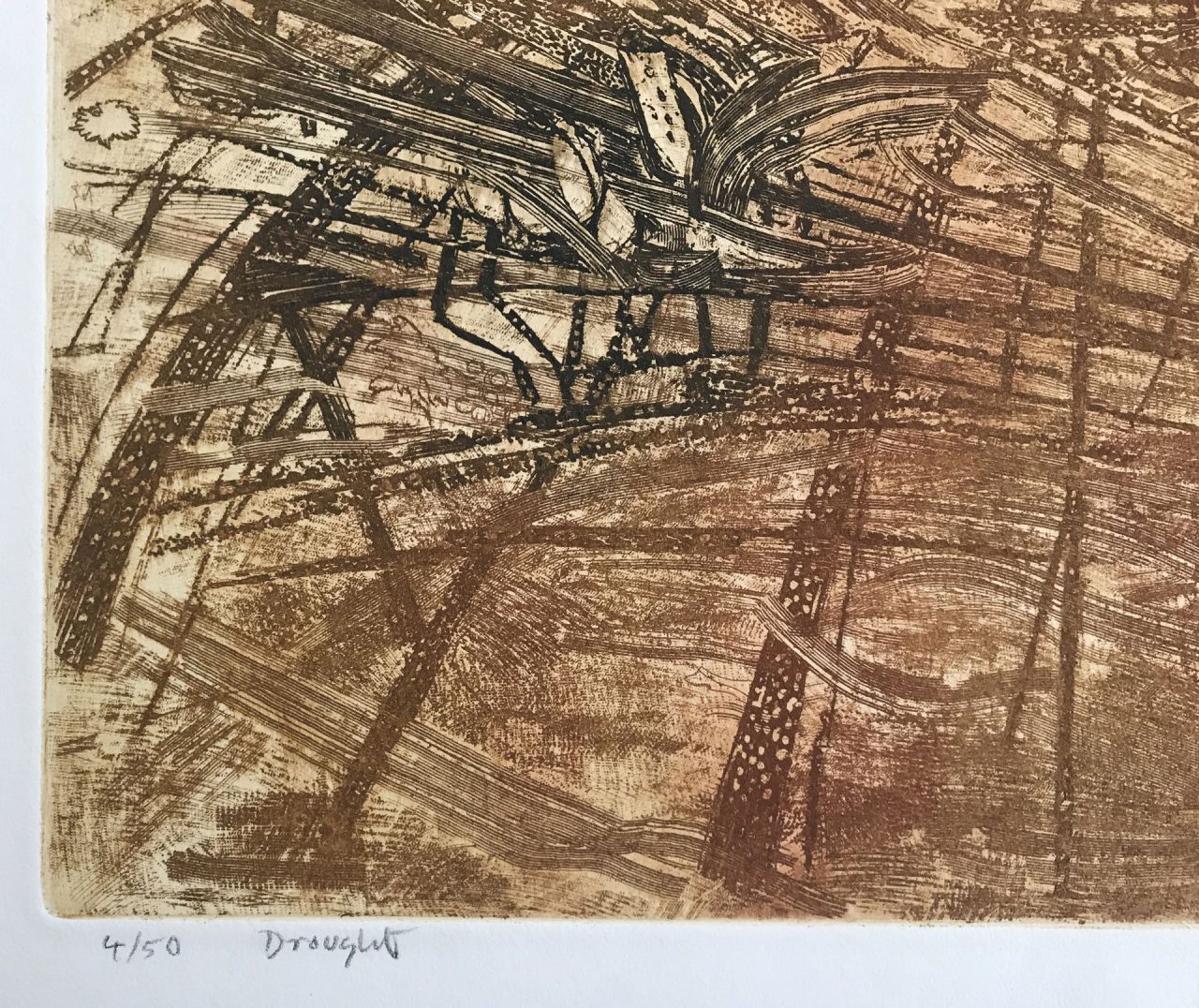 Drought - Anthony Gross