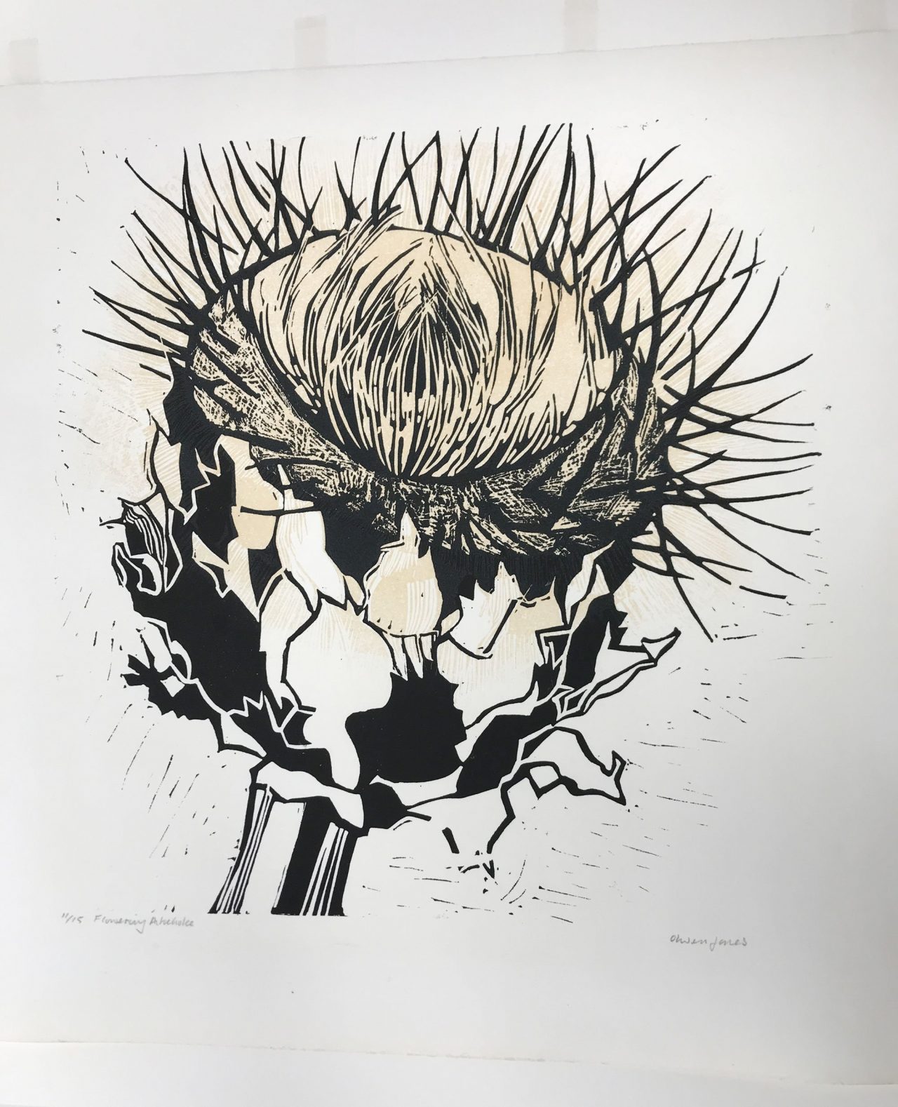 Flowering Artichoke by Olwen Jones