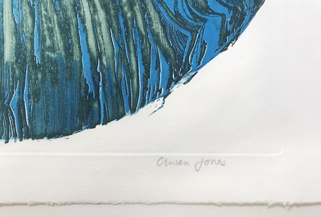 Plant Form 1 by Olwen Jones