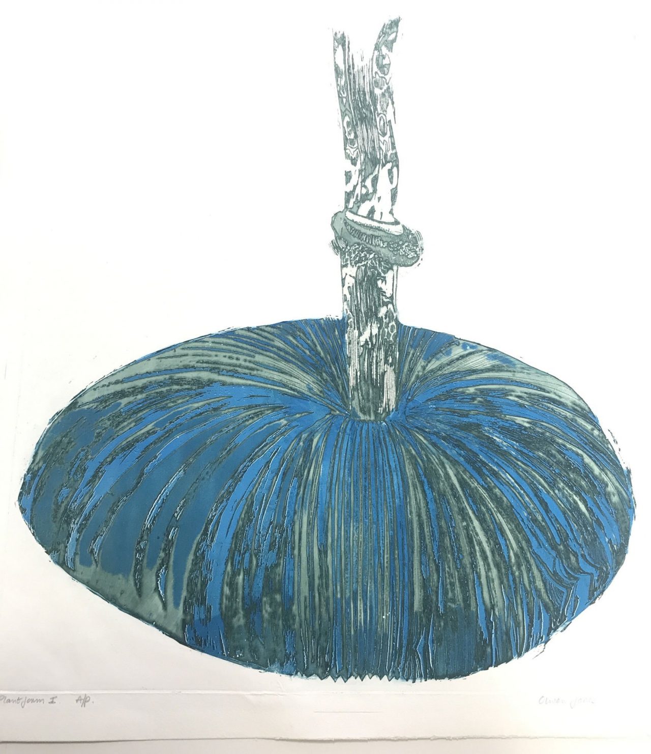 Plant Form 1 by Olwen Jones