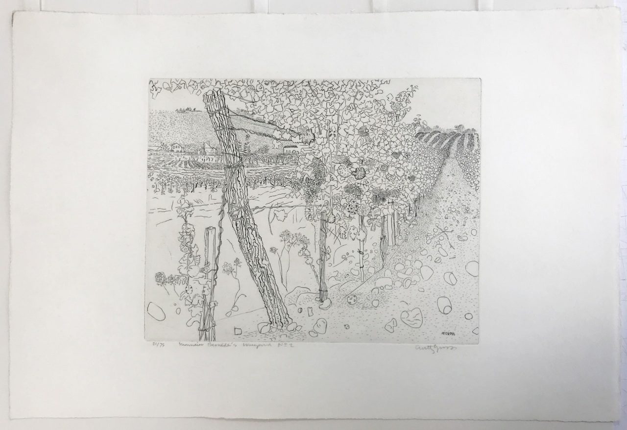 M Bernede's Vineyard No.2