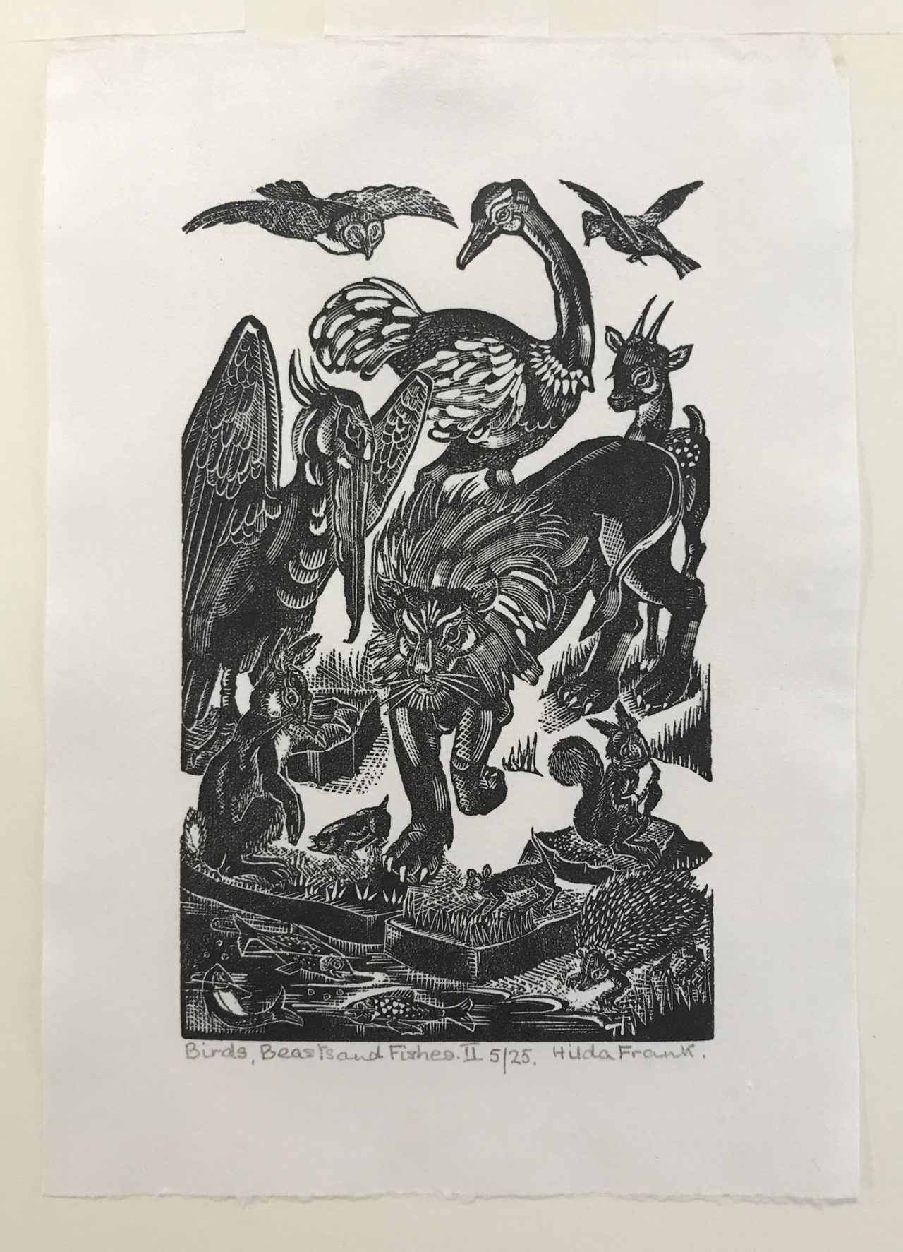 Birds, Beasts and Fishes II by Hilda Frank