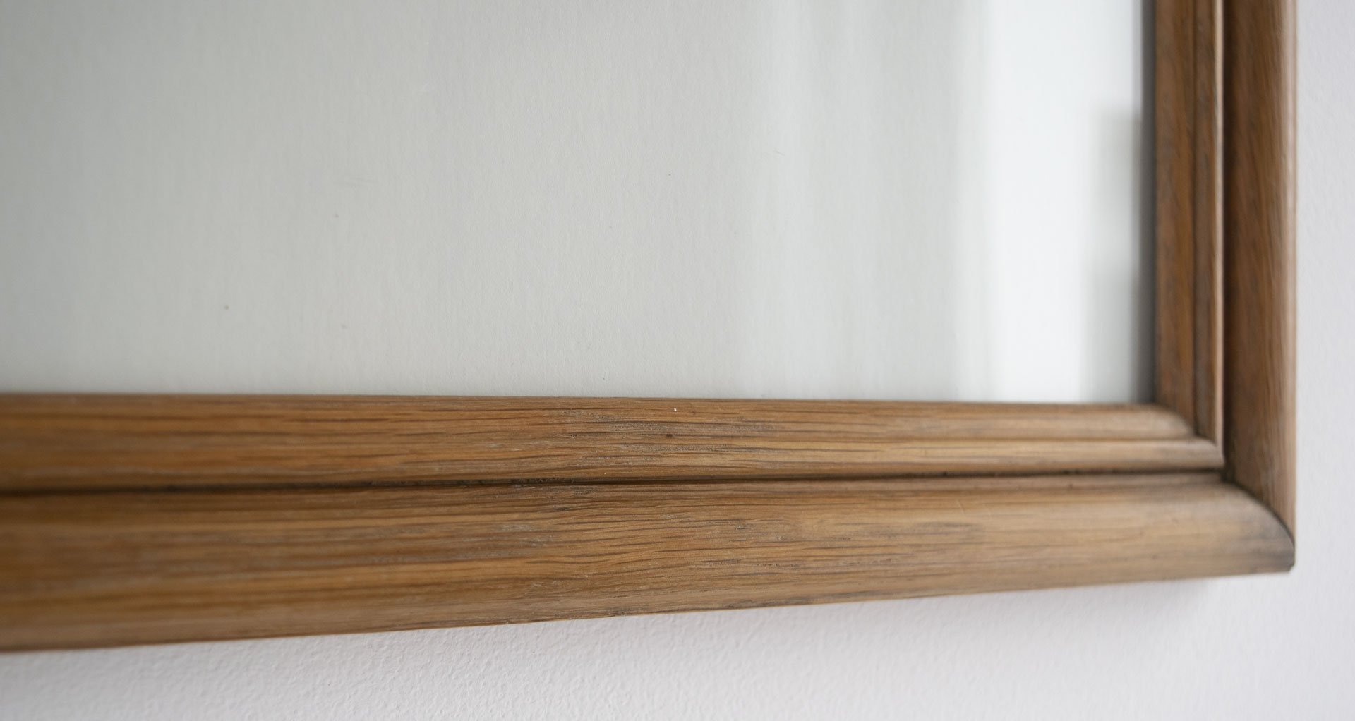 Squirrels by Hilda Frank