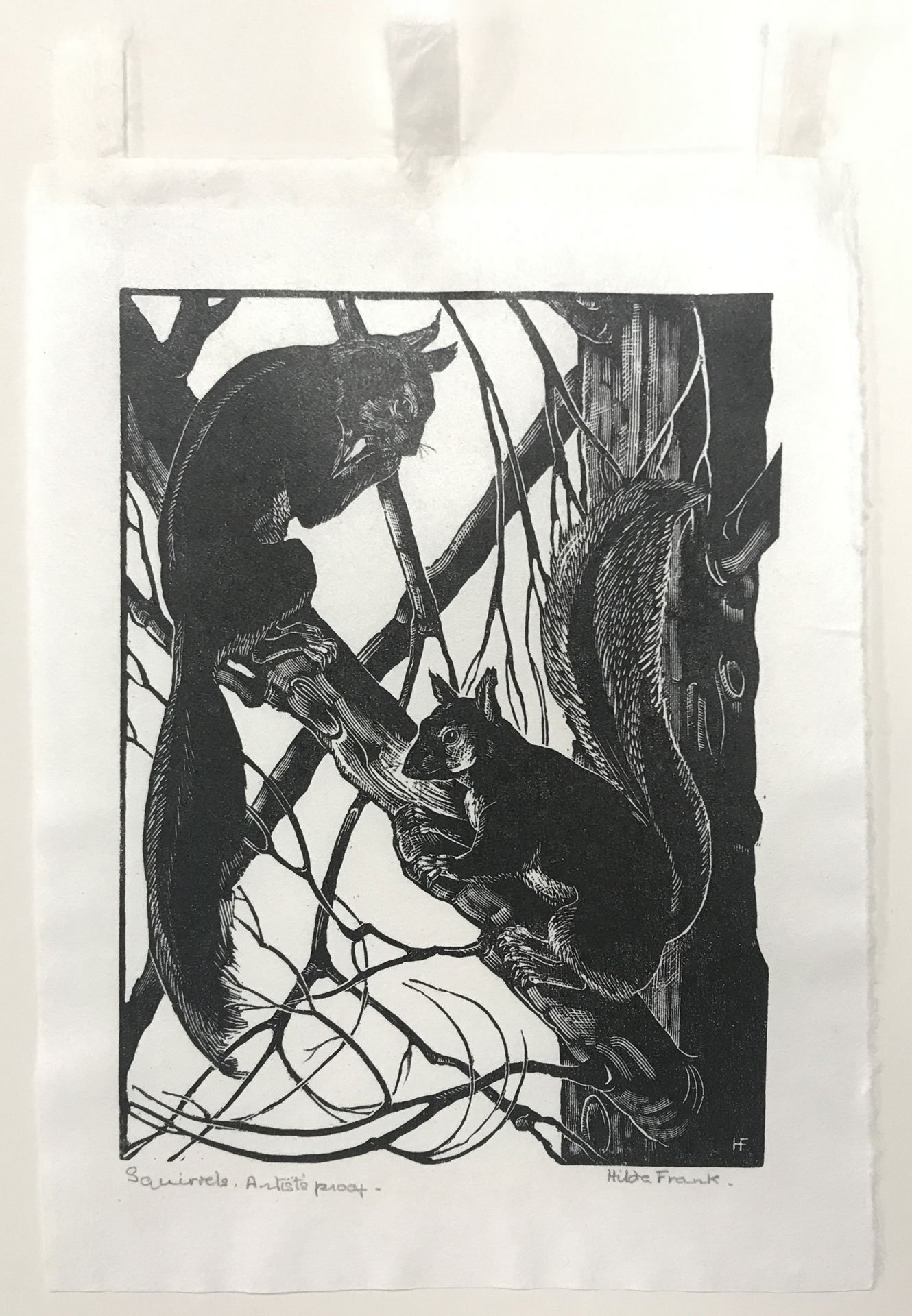 Squirrels by Hilda Frank