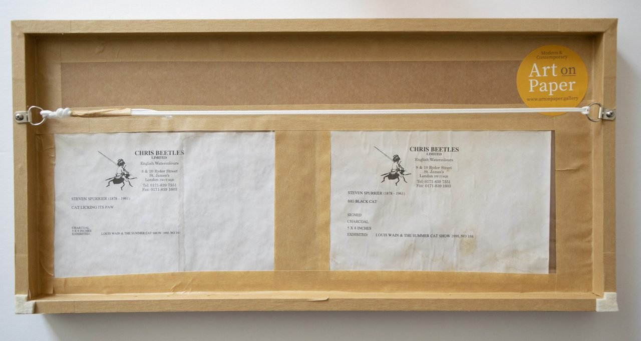 Two Cat Drawings by Steven Spurrier