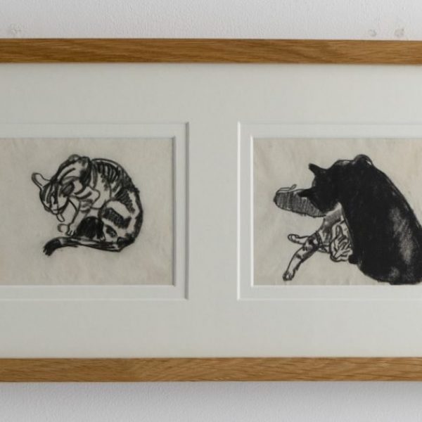 Two Cat Drawings by Steven Spurrier