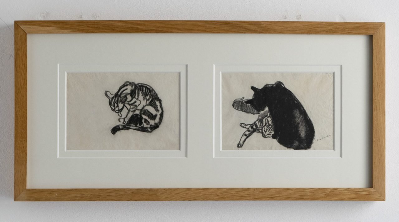 Two Cat Drawings by Steven Spurrier