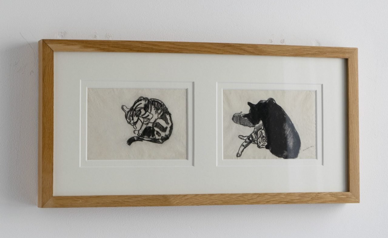 Two Cat Drawings by Steven Spurrier