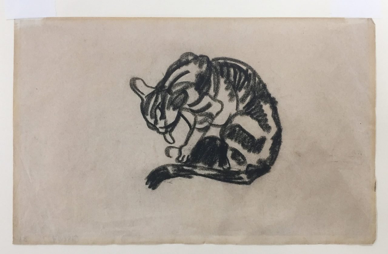 Two Cat Drawings by Steven Spurrier