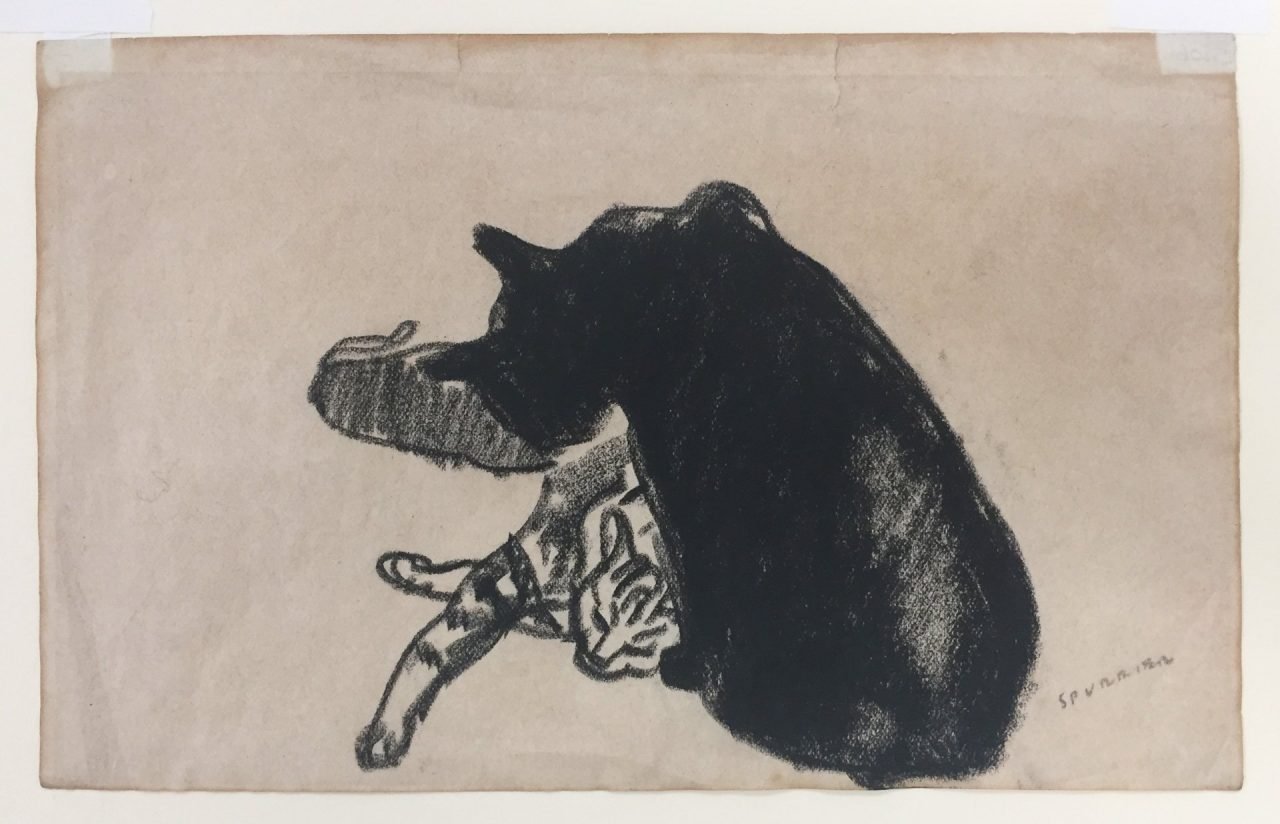 Two Cat Drawings by Steven Spurrier