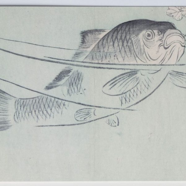 Large Fish - Japanese Woodblock Card