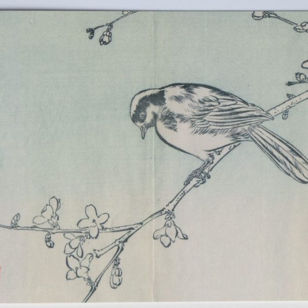 Small Bird - Japanese Woodblock Card
