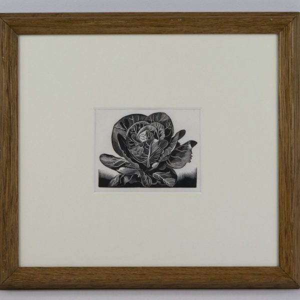 Spring Cabbage after John Farleigh
