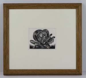 Spring Cabbage after John Farleigh