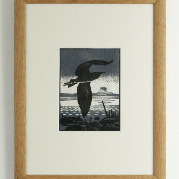 Heron leaving the Shore Lindisfarne