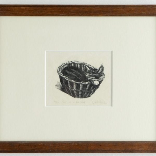 Cat in a Basket