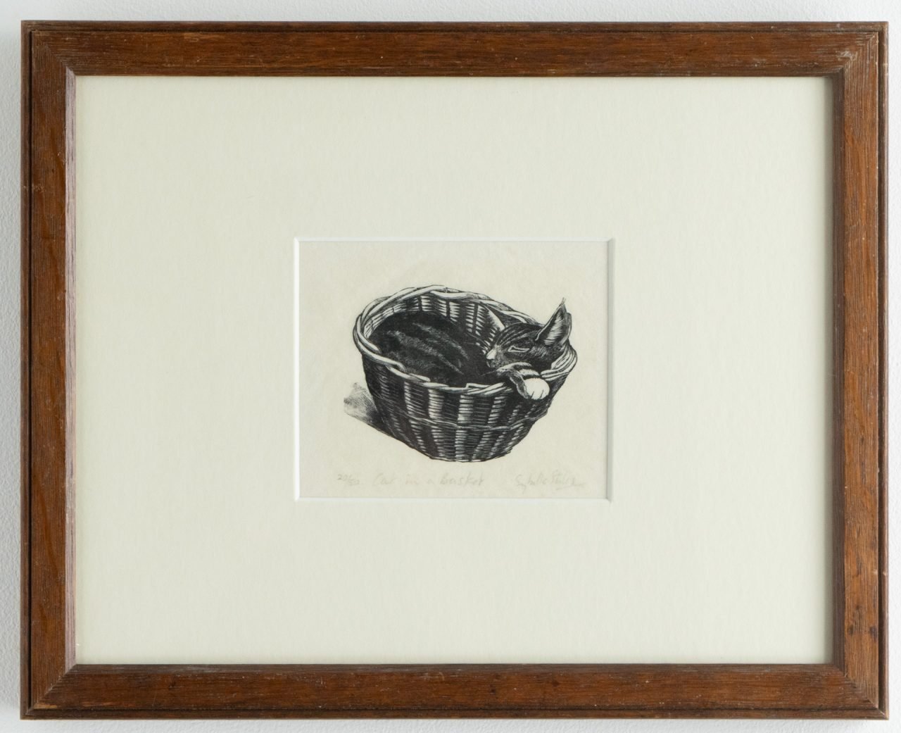 Cat in a Basket