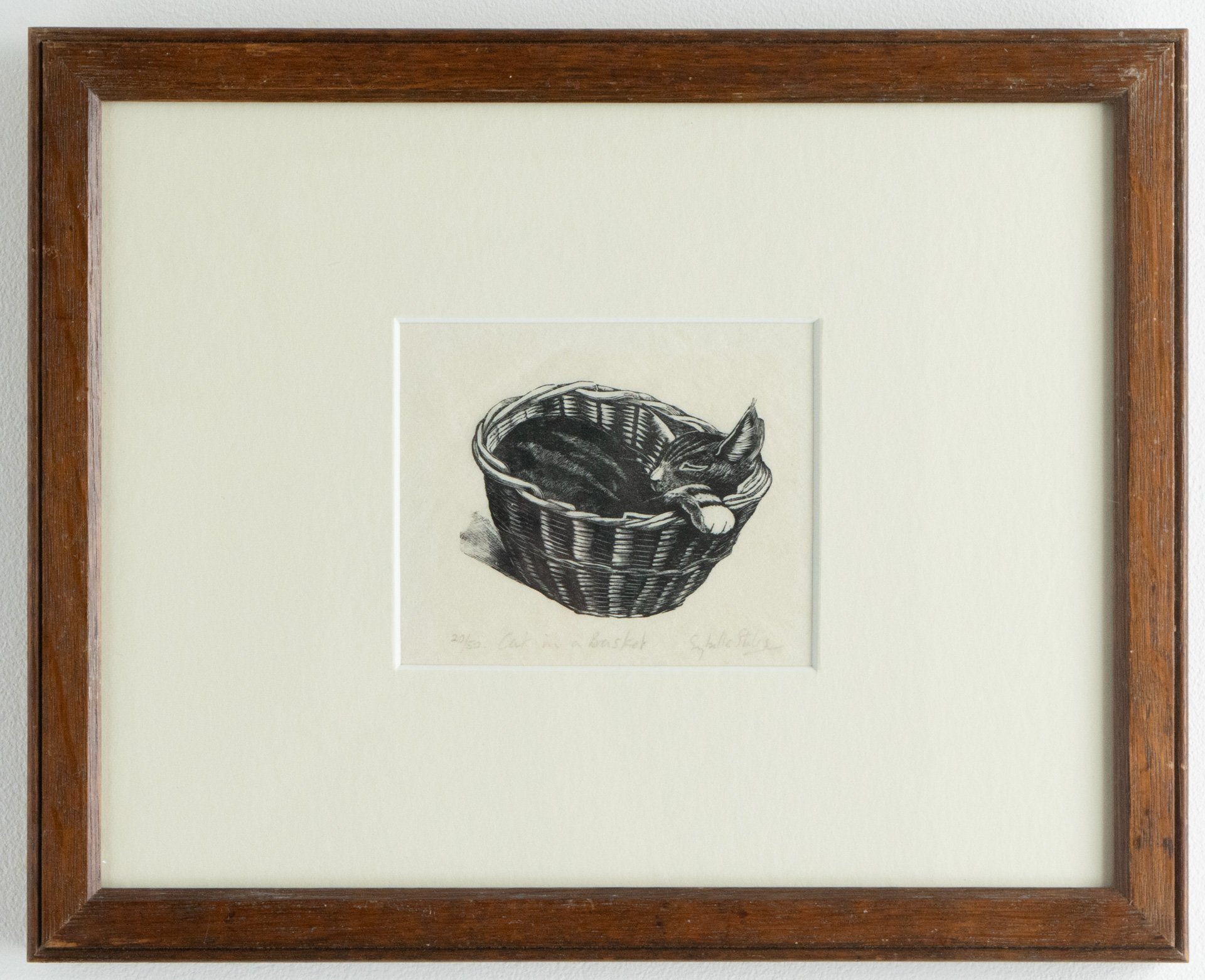 Cat in a Basket