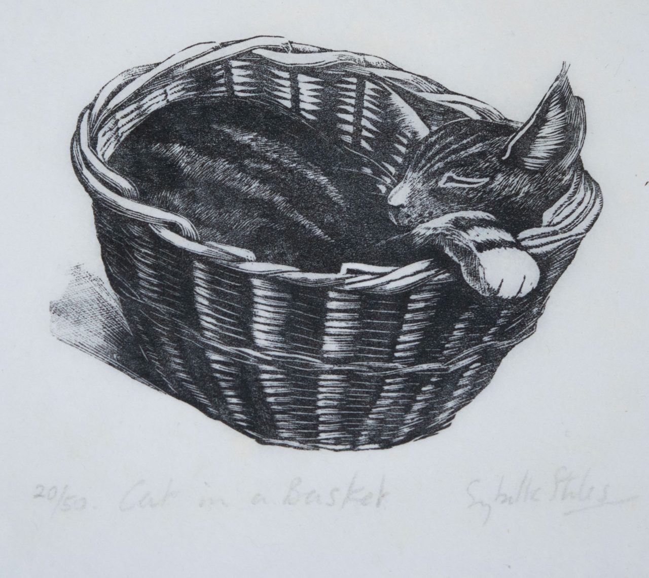Cat in a Basket