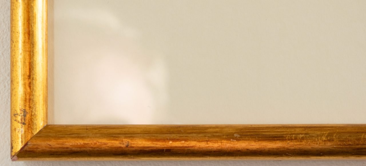 Little Owl - Iwao Akiyama