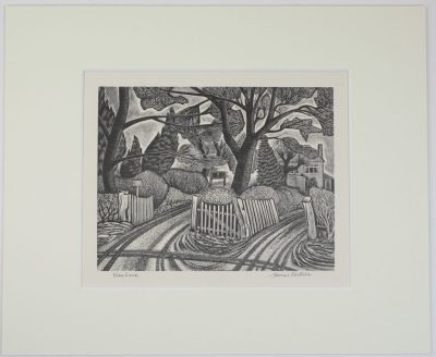 Vine Lane - James Bostock