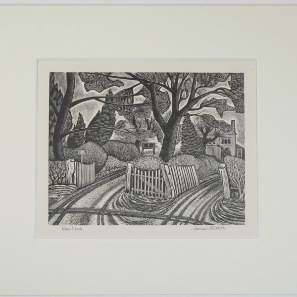 Vine Lane - James Bostock