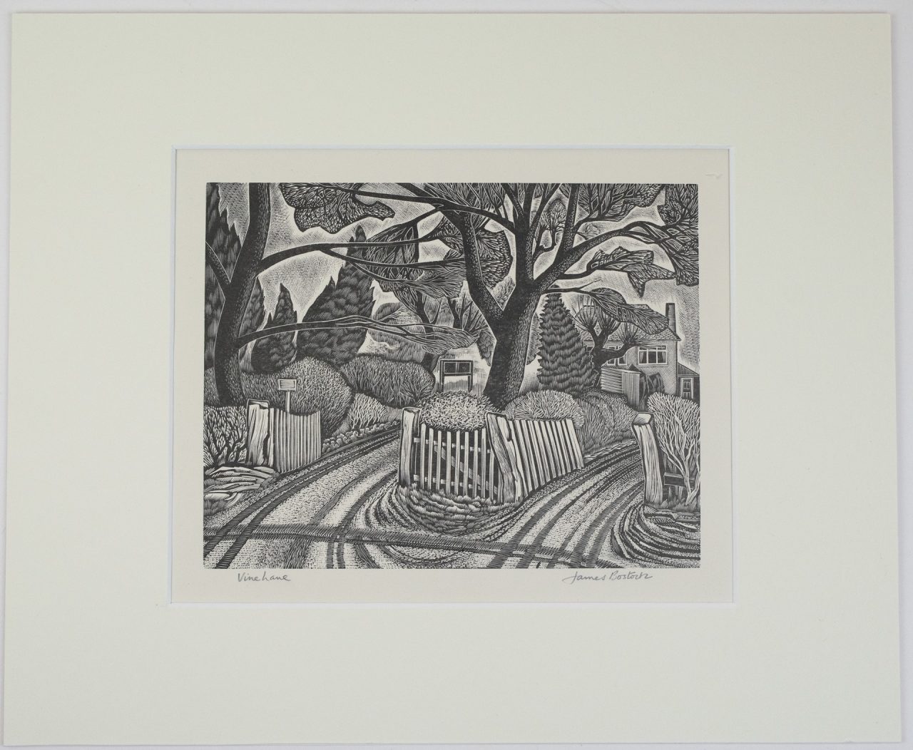 Vine Lane - James Bostock