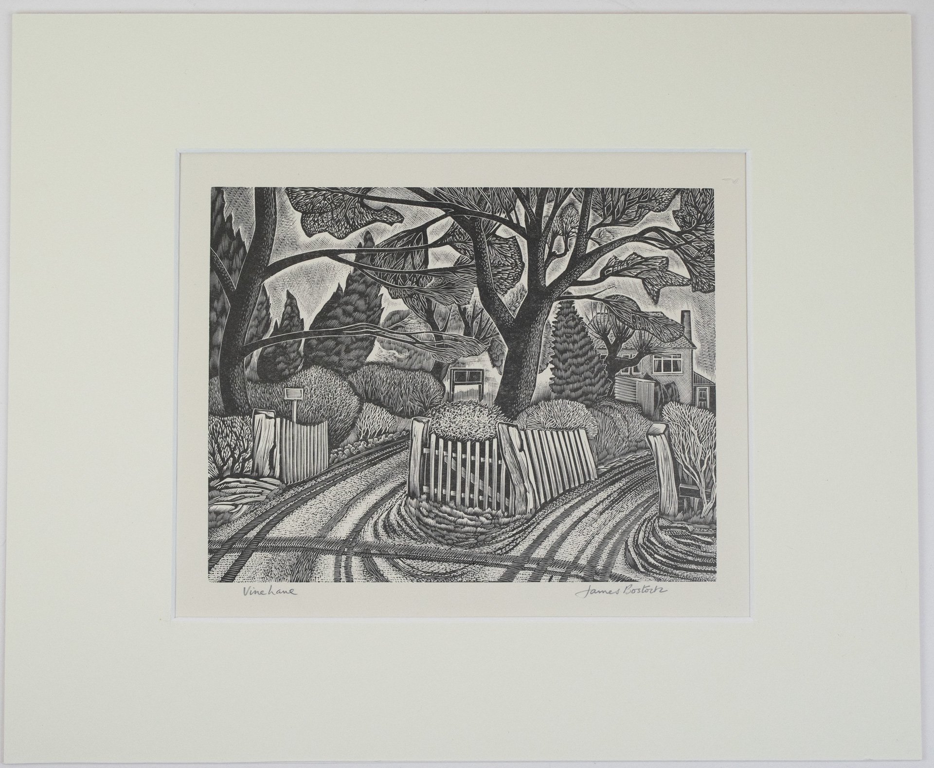 Vine Lane - James Bostock