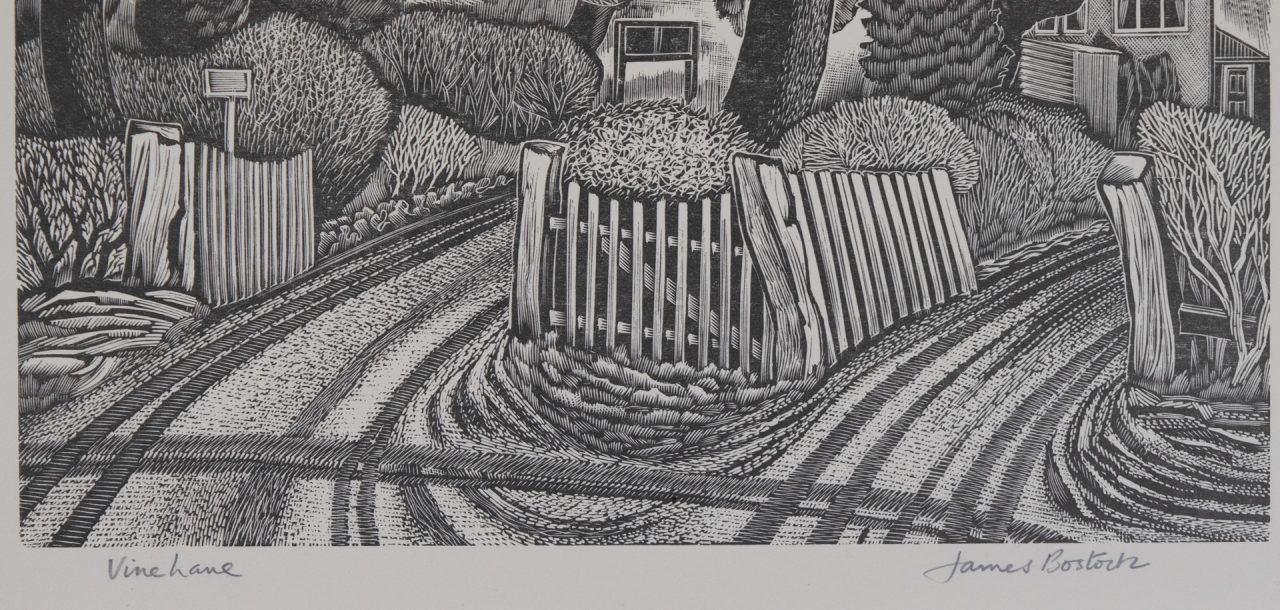 Vine Lane - James Bostock