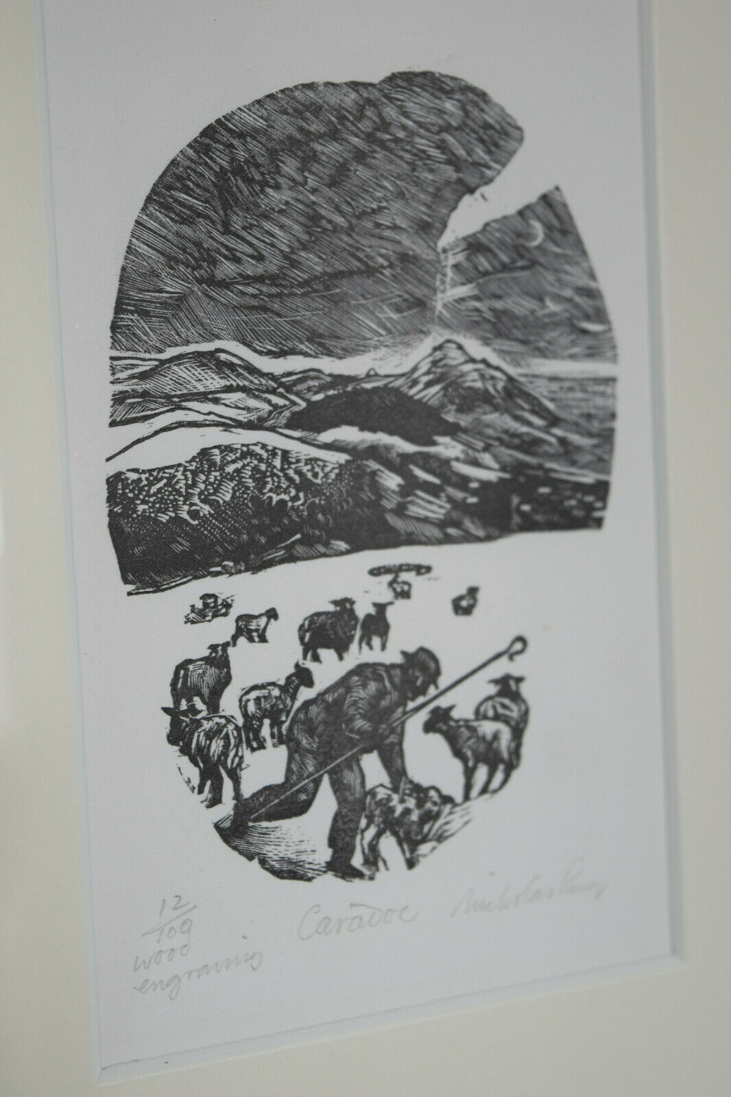 Share Caradoc - Sheep Farming